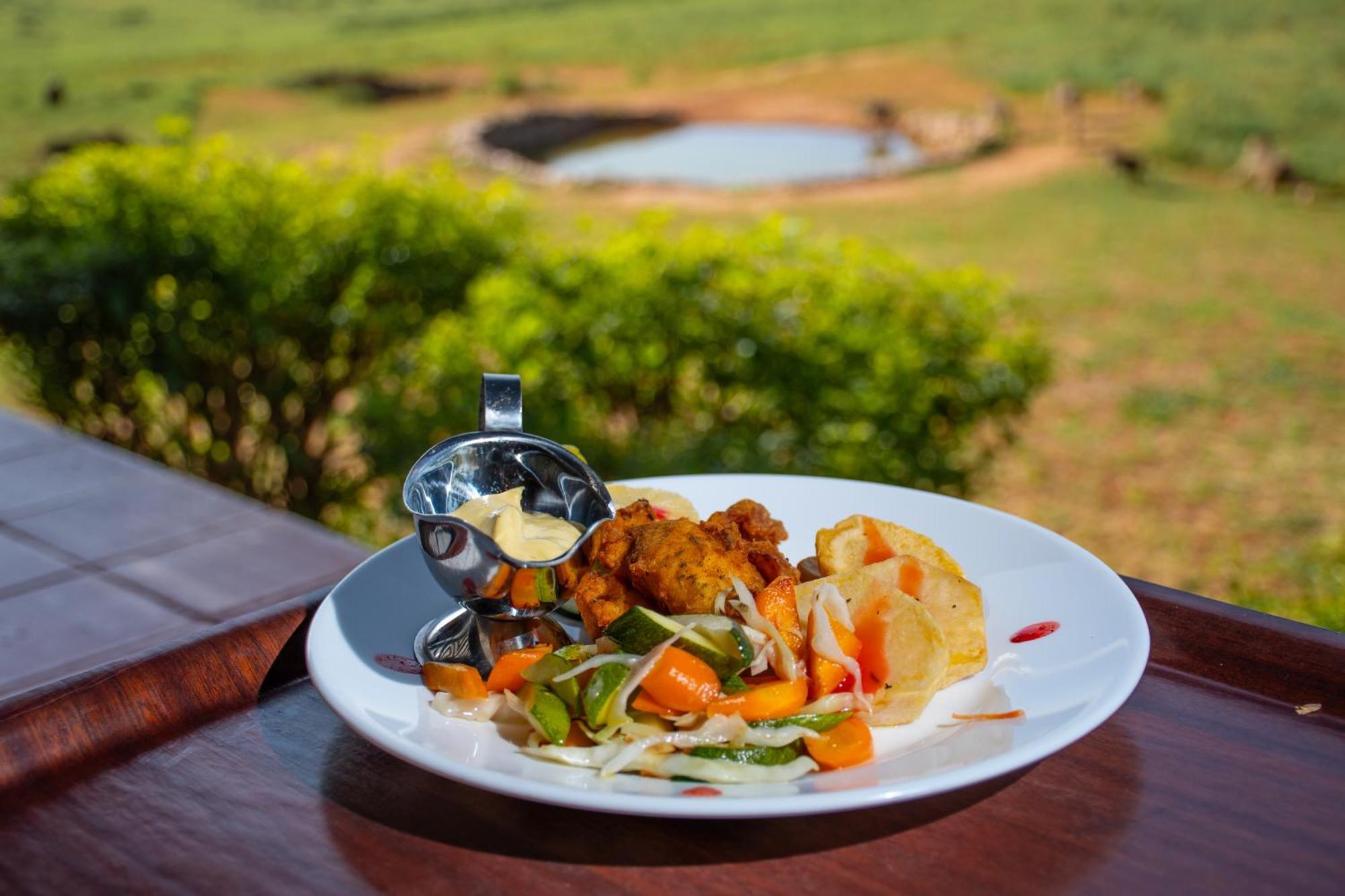 Ngulia Safari Lodge Ithumba Εξωτερικό φωτογραφία