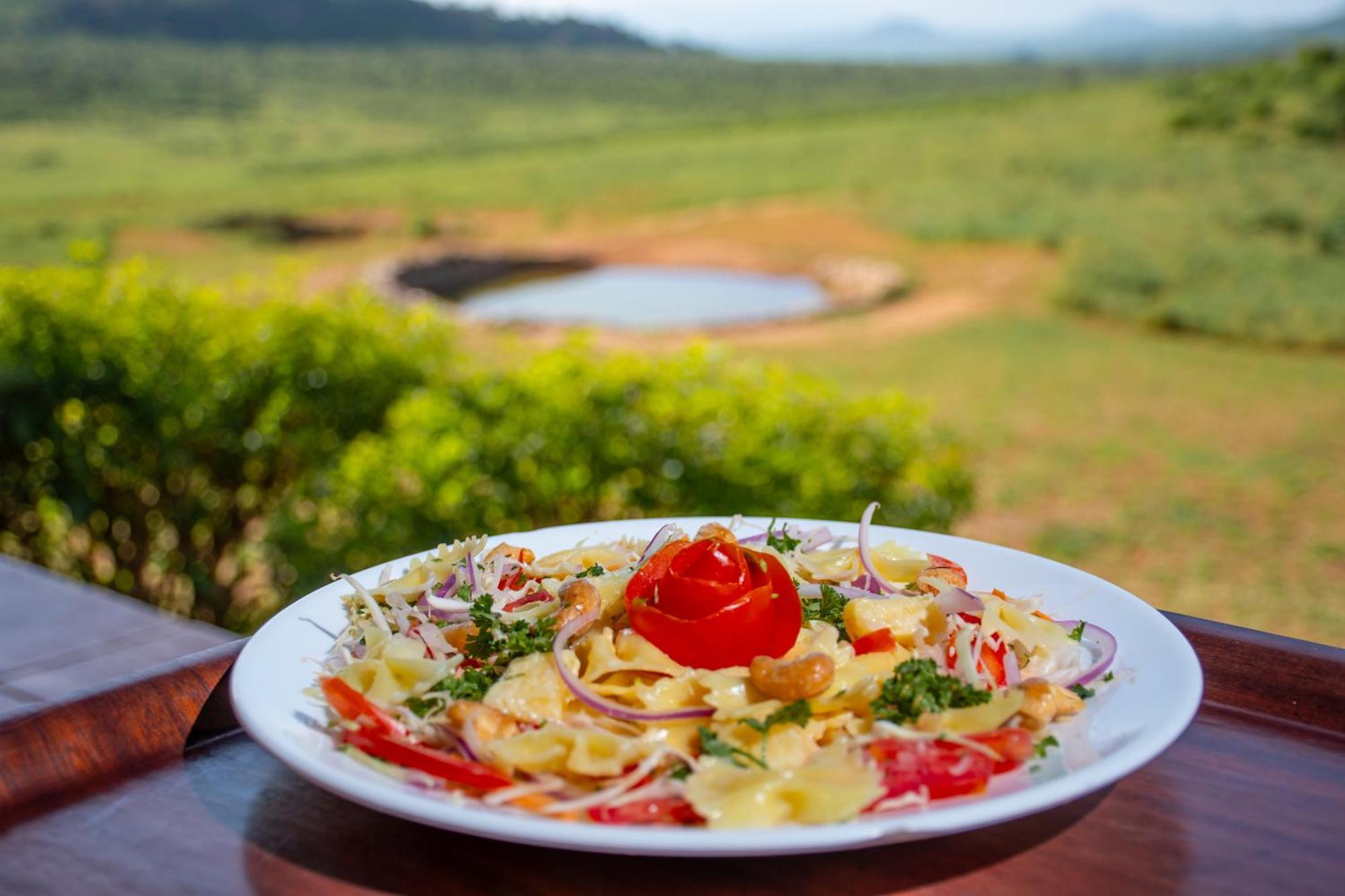 Ngulia Safari Lodge Ithumba Εξωτερικό φωτογραφία
